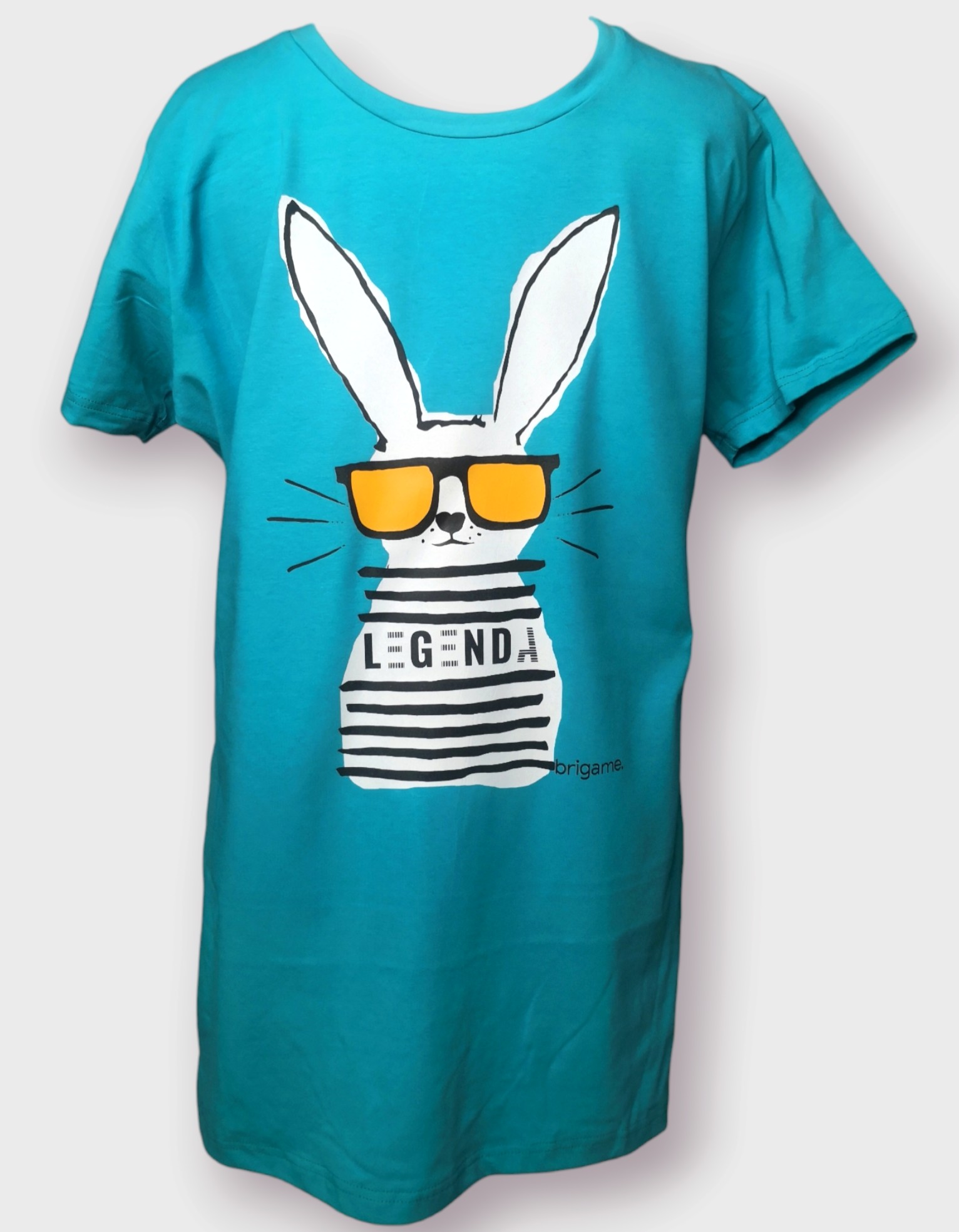 LEGENDA Brigame Men's T-Shirt - turquoise