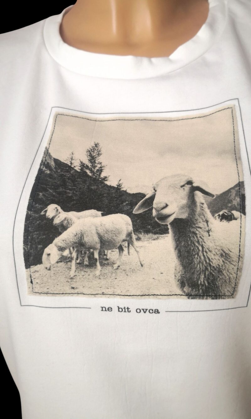 Men's T-shirt Don't Be a Sheep