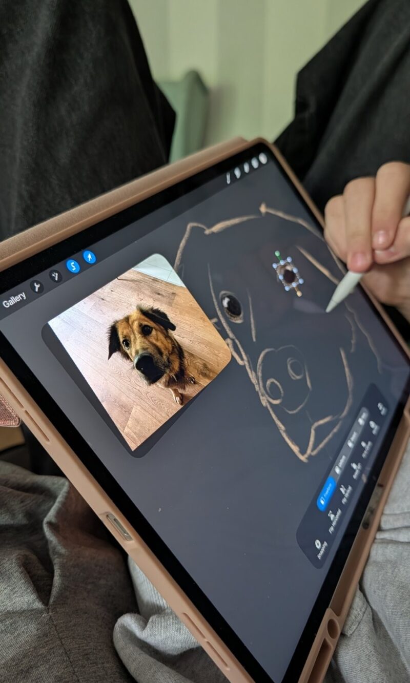 T-shirt with a sketch of your pet